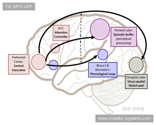 多感官集成设计成为新标准 观赛记忆点显著增强